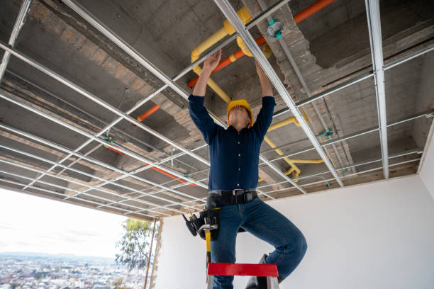 Best Local Plumber Services  in Knox, PA